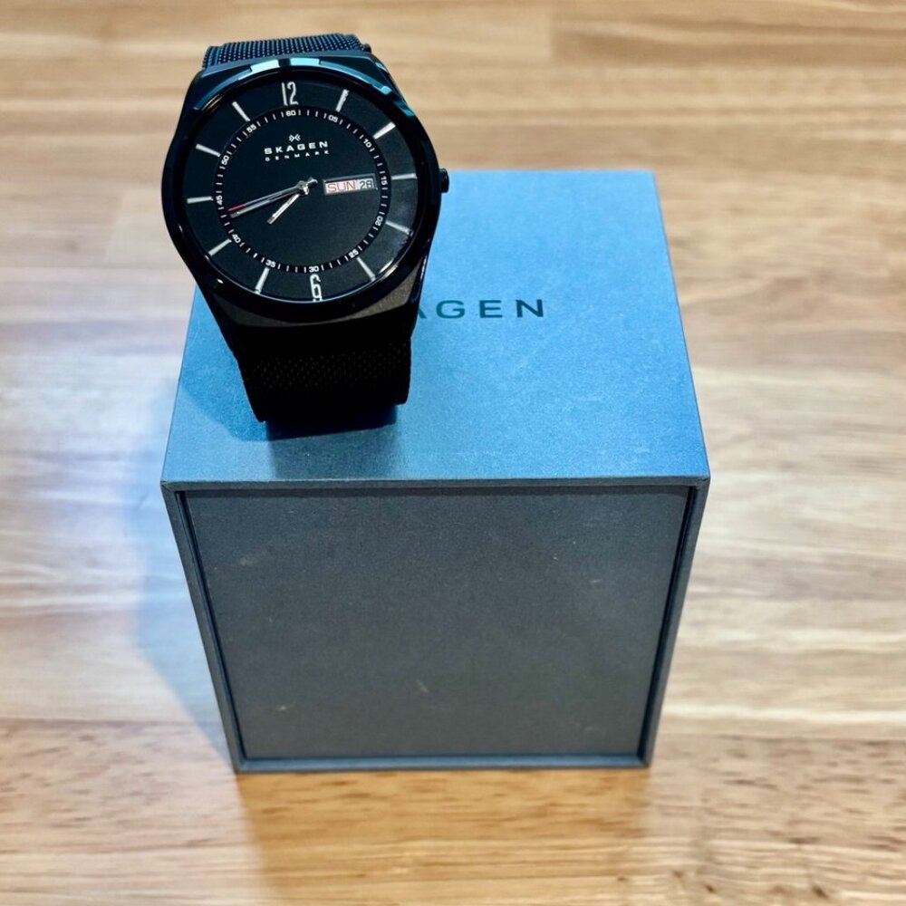 Skagen Men's Wristwatch Titan Stainless Steel SKW6006